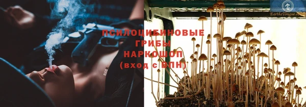 Альфа ПВП Дмитриев