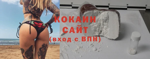 Альфа ПВП Дмитриев