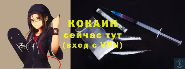Альфа ПВП Дмитриев
