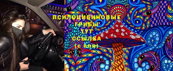 трава Дмитров