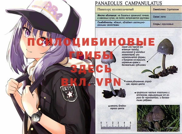 трава Дмитров