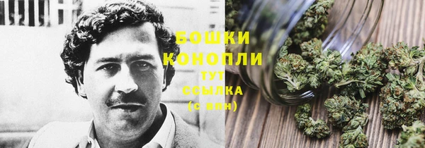 трава Дмитров